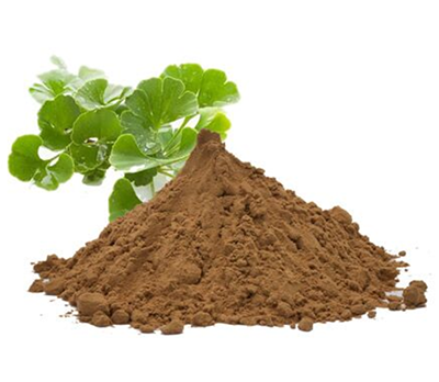 Гінкго білоба